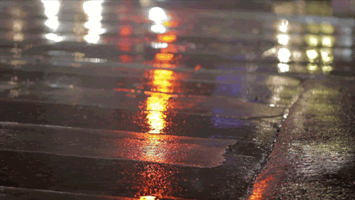 Random Facts (16 gifs)