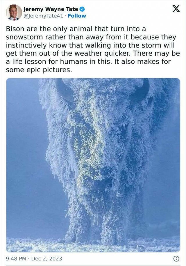 Positive Posts And Stories (25 pics)