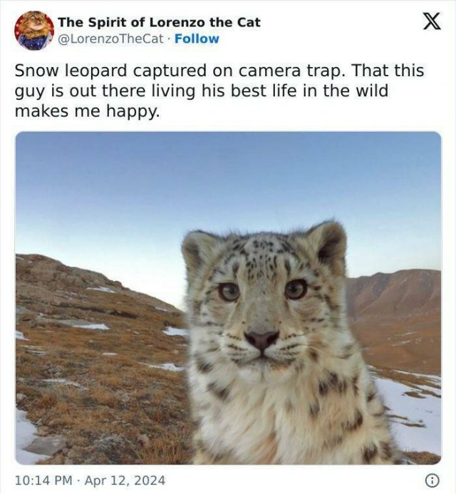 Positive Posts And Stories (25 pics)
