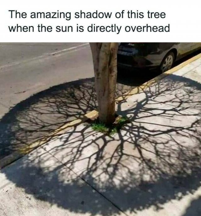 Positive Posts And Stories (25 pics)