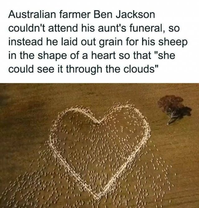 Positive Posts And Stories (25 pics)