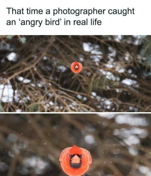 Positive Posts And Stories (25 pics)