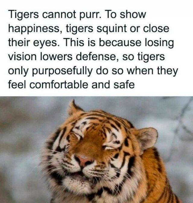 Positive Posts And Stories (25 pics)