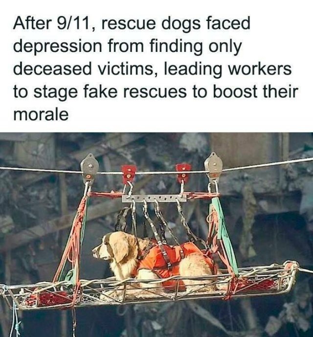 Positive Posts And Stories (25 pics)