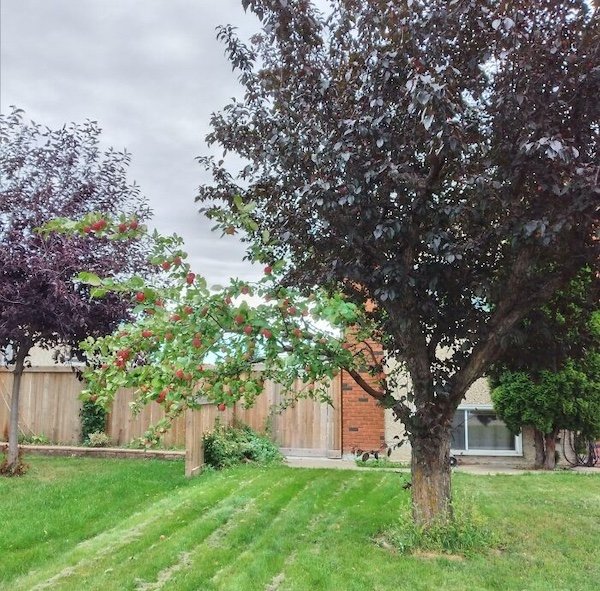 What Is Going On Here? (35 pics)