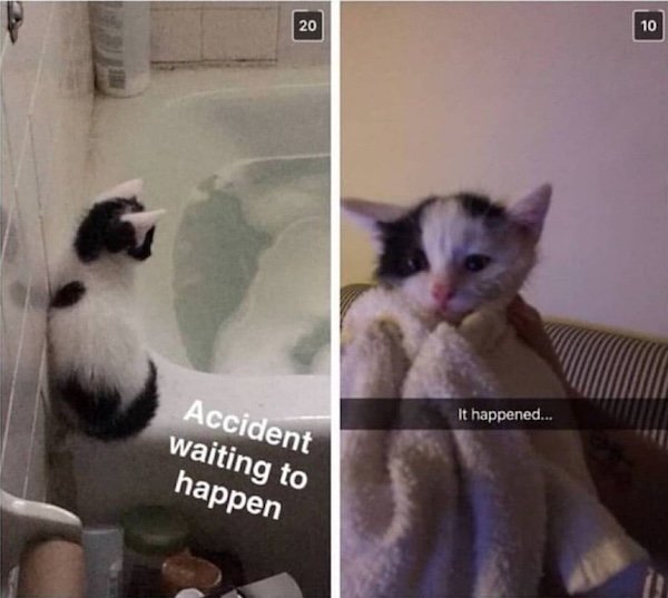 Jokes For Cat Lovers (25 pics)
