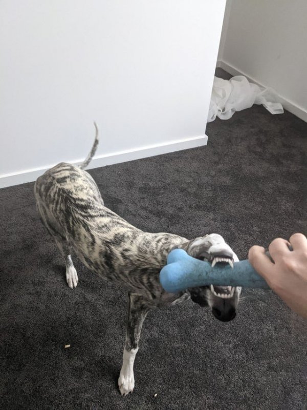 What Is Going On Here? (35 pics)