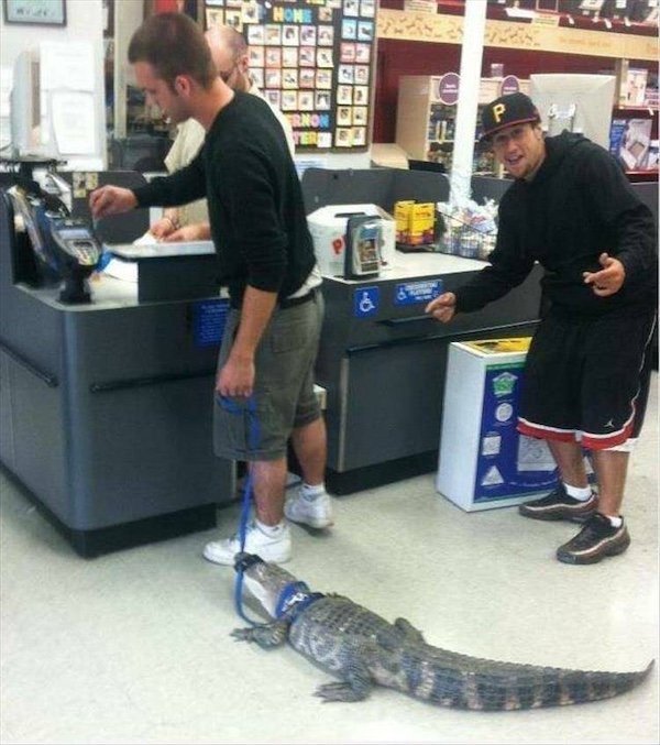 What Is Going On Here? (35 pics)