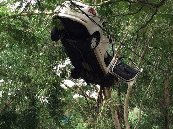 What Is Going On Here? (35 pics)