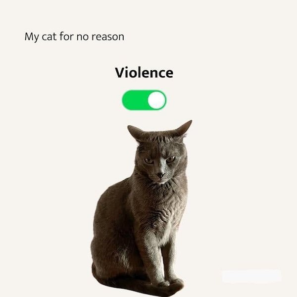 Jokes For Cat Lovers (25 pics)