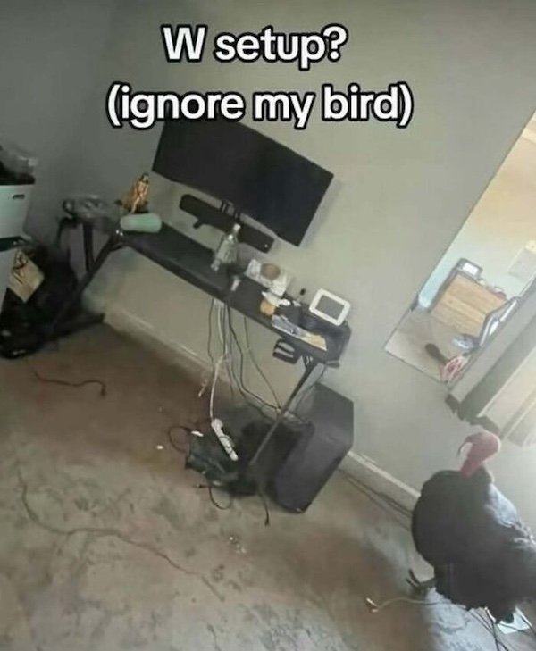 What Is Going On Here? (35 pics)