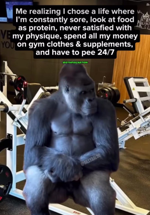 Memes About Workout (28 pics)