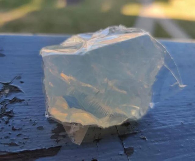 What Are These Things? (26 pics)