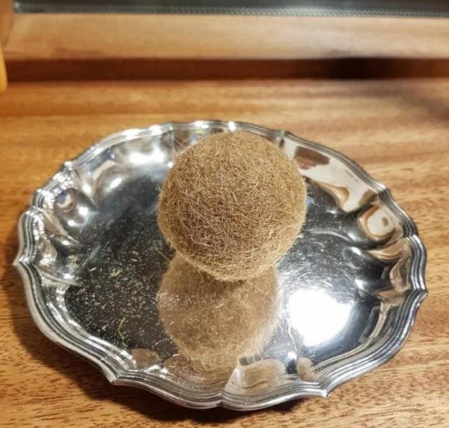 What Are These Things? (26 pics)