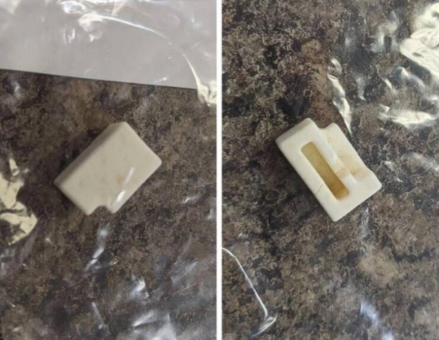 What Are These Things? (26 pics)