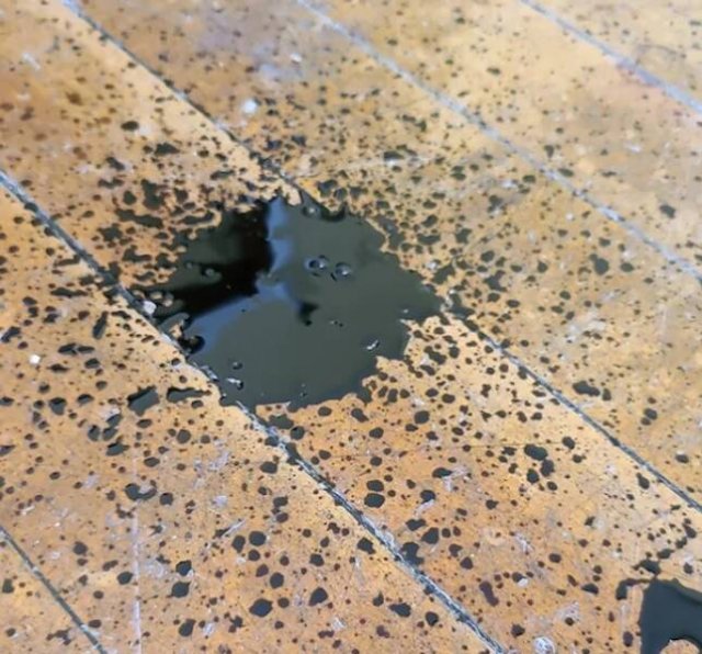 What Are These Things? (26 pics)