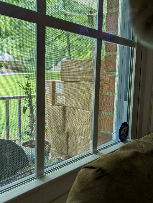 A Little Bit About Remote Work (25 pics)