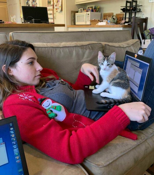 A Little Bit About Remote Work (25 pics)