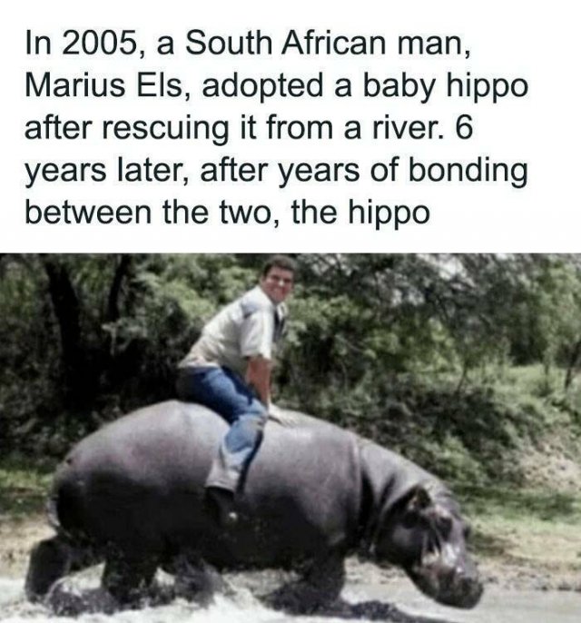 Not Very Smart People (24 pics)