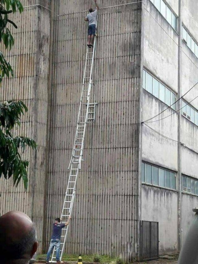 Not Very Smart People (24 pics)