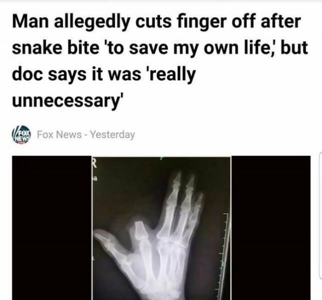 Not Very Smart People (24 pics)