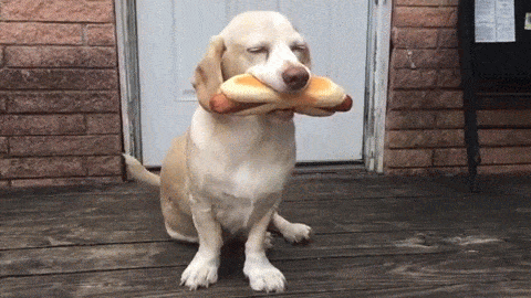 Odd Thoughts (14 gifs)
