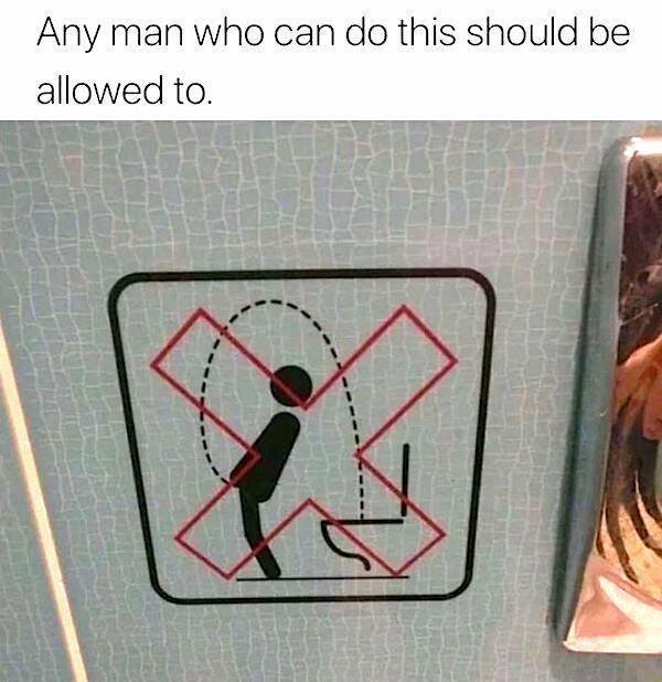 Truthful Memes (21 pics)