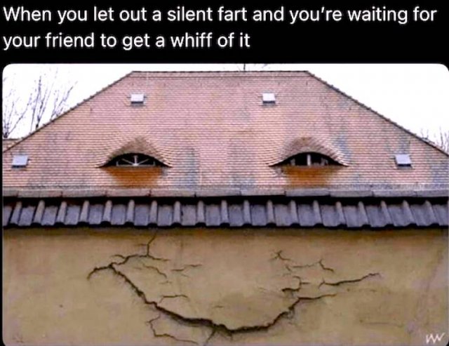 Truthful Memes (21 pics)