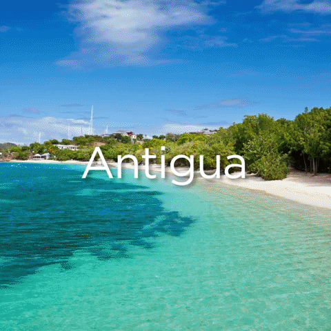 About Life In Tropical Countries (18 gifs) About Life In Tropical Countries (18 gifs)