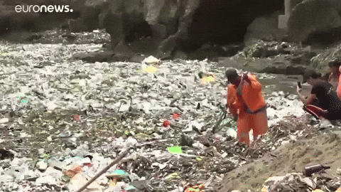 About Life In Tropical Countries (18 gifs) About Life In Tropical Countries (18 gifs)