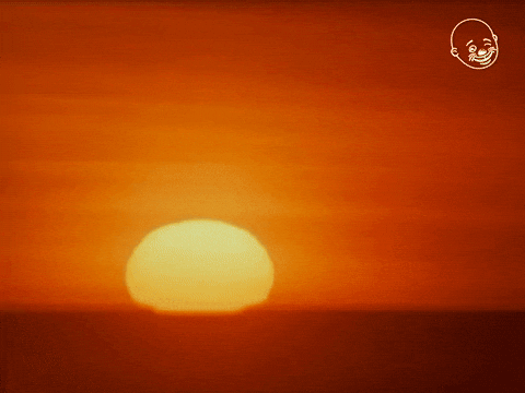 About Life In Tropical Countries (18 gifs) About Life In Tropical Countries (18 gifs)