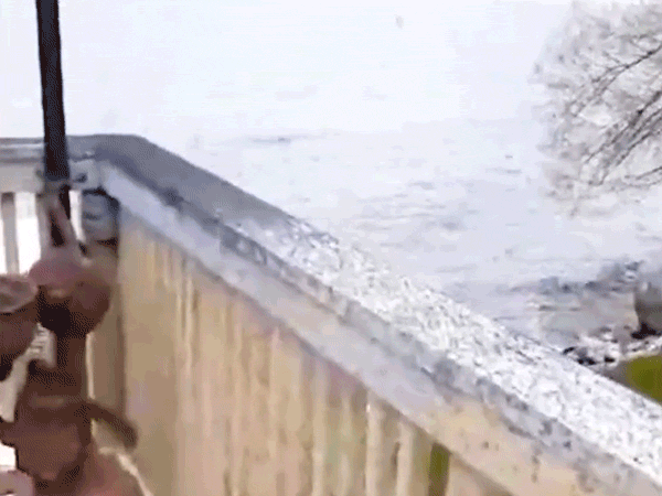 About Life In Tropical Countries (18 gifs) About Life In Tropical Countries (18 gifs)