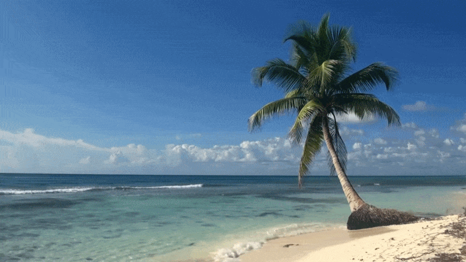 About Life In Tropical Countries (18 gifs) About Life In Tropical Countries (18 gifs)
