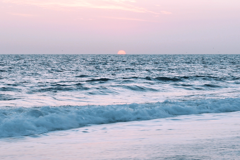 About Life In Tropical Countries (18 gifs) About Life In Tropical Countries (18 gifs)