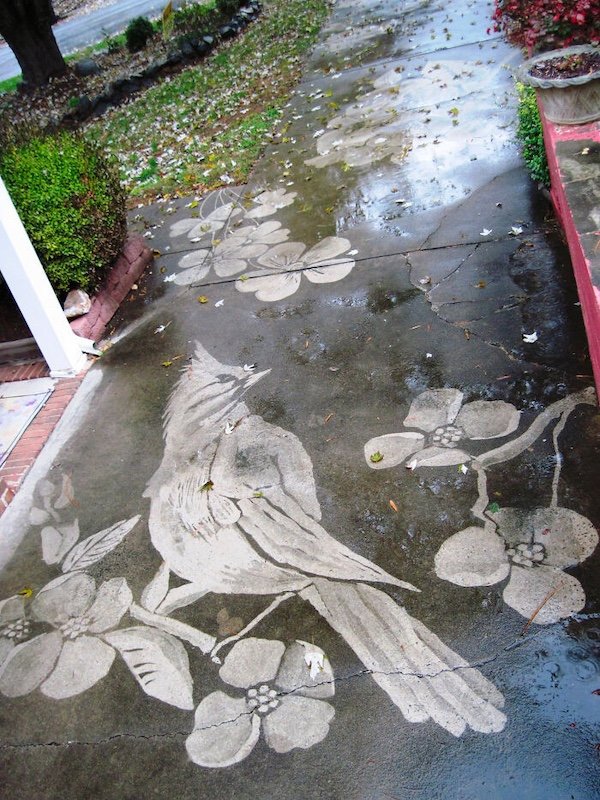 Talented People (25 pics)