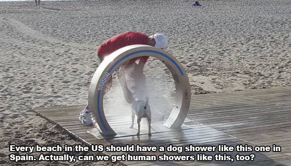 Interesting Inventions (17 pics)