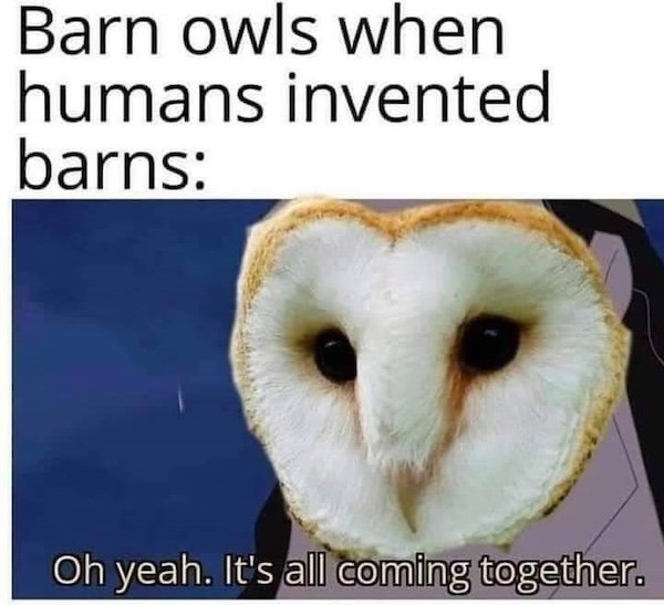 Memes For Animal Lovers (26 pics)