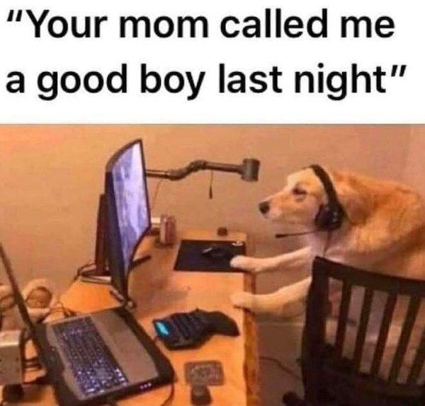 Memes For Animal Lovers (26 pics)