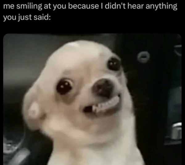 Memes For Introverts (29 pics)