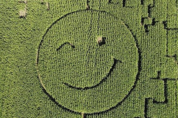 Talented People (25 pics)