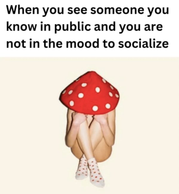 Memes For Introverts (29 pics)