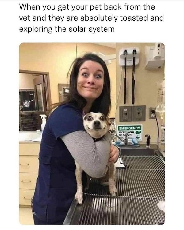 Memes For Animal Lovers (26 pics)
