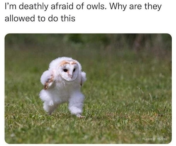 Memes For Animal Lovers (26 pics)