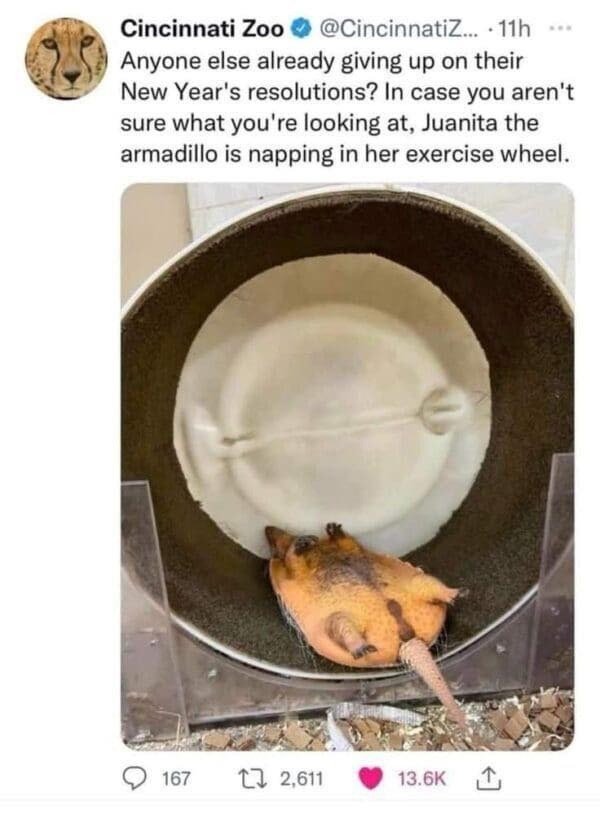 Memes For Animal Lovers (26 pics)