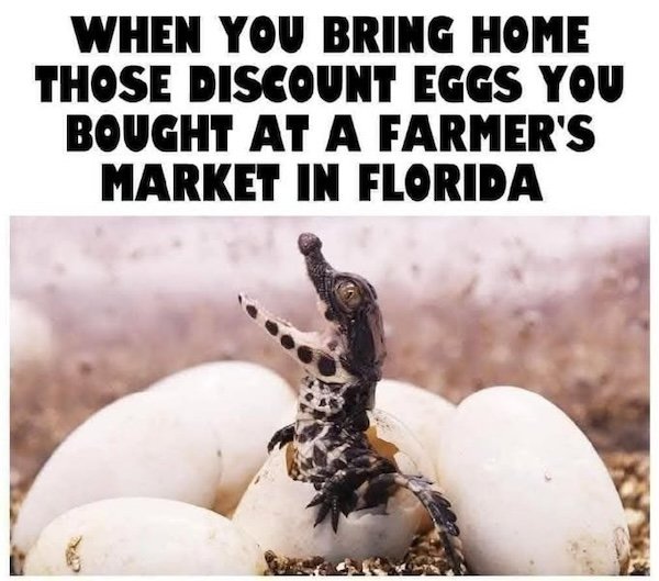 Memes For Animal Lovers (26 pics)