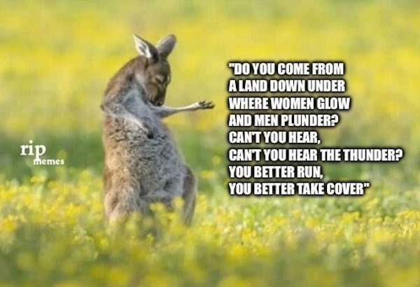 Memes For Animal Lovers (26 pics)
