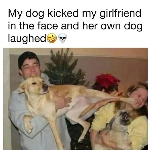 Memes For Animal Lovers (26 pics)
