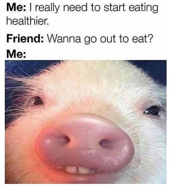 Memes For Animal Lovers (26 pics)