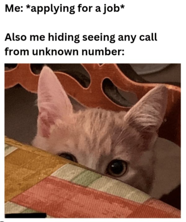 Memes For Introverts (29 pics)
