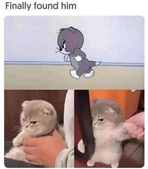 Memes For Animal Lovers (26 pics)